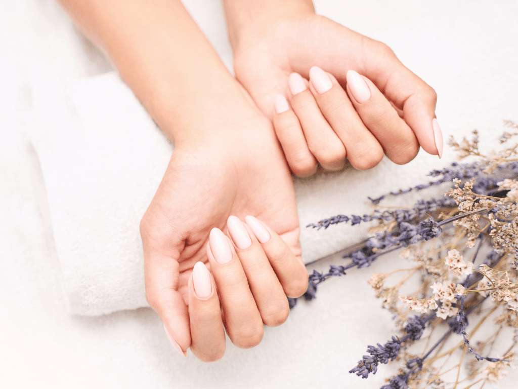 Soft pink manicure on hands with dried lavender